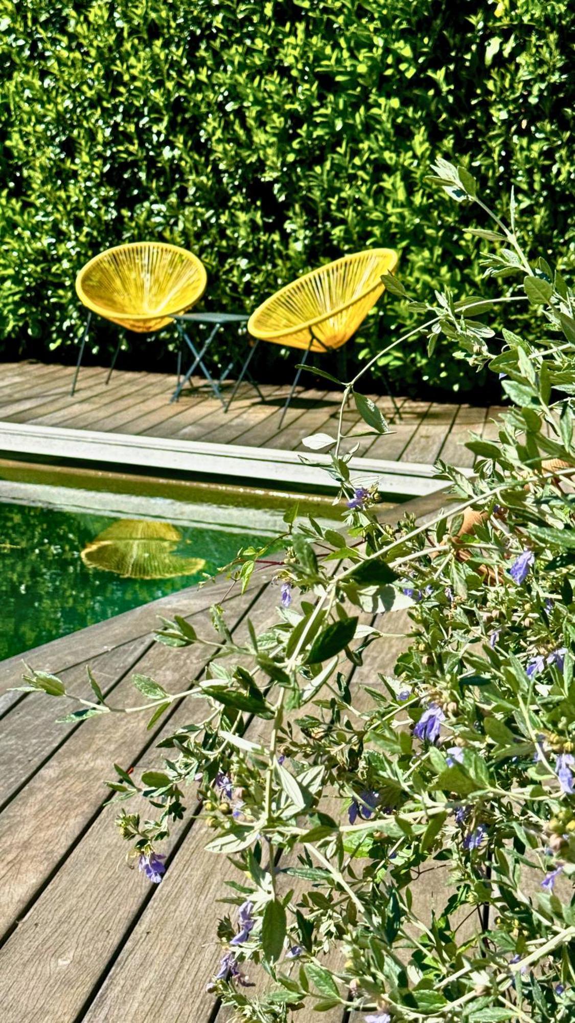 Boutique Hotel Artemisia Bastelica Luaran gambar